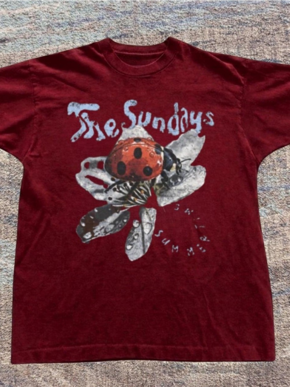 Brand Gildan Reprinted Kids Tee with Ladybug Graphic